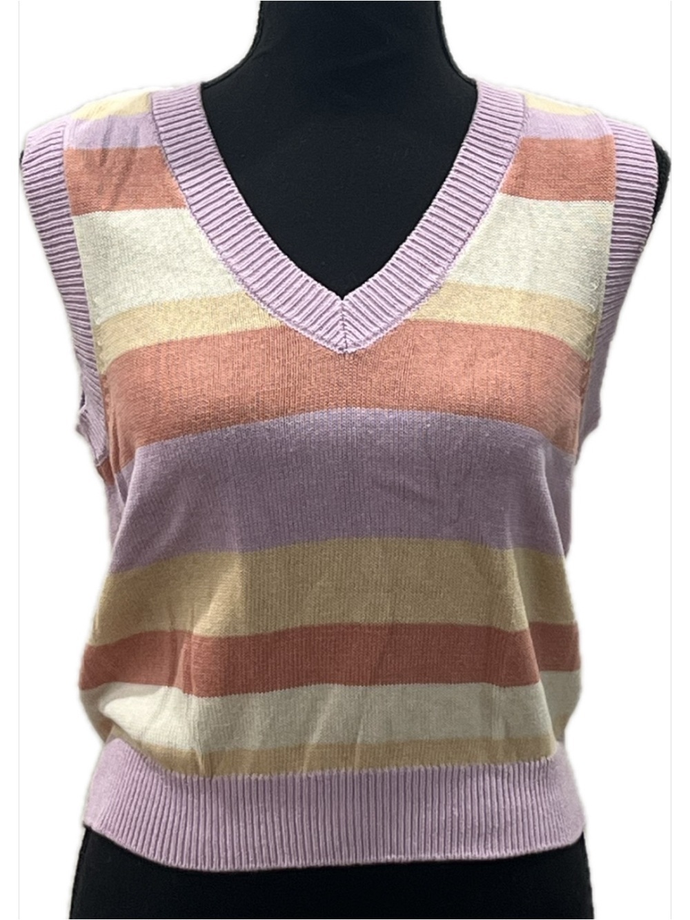 Abound striped sweater vest